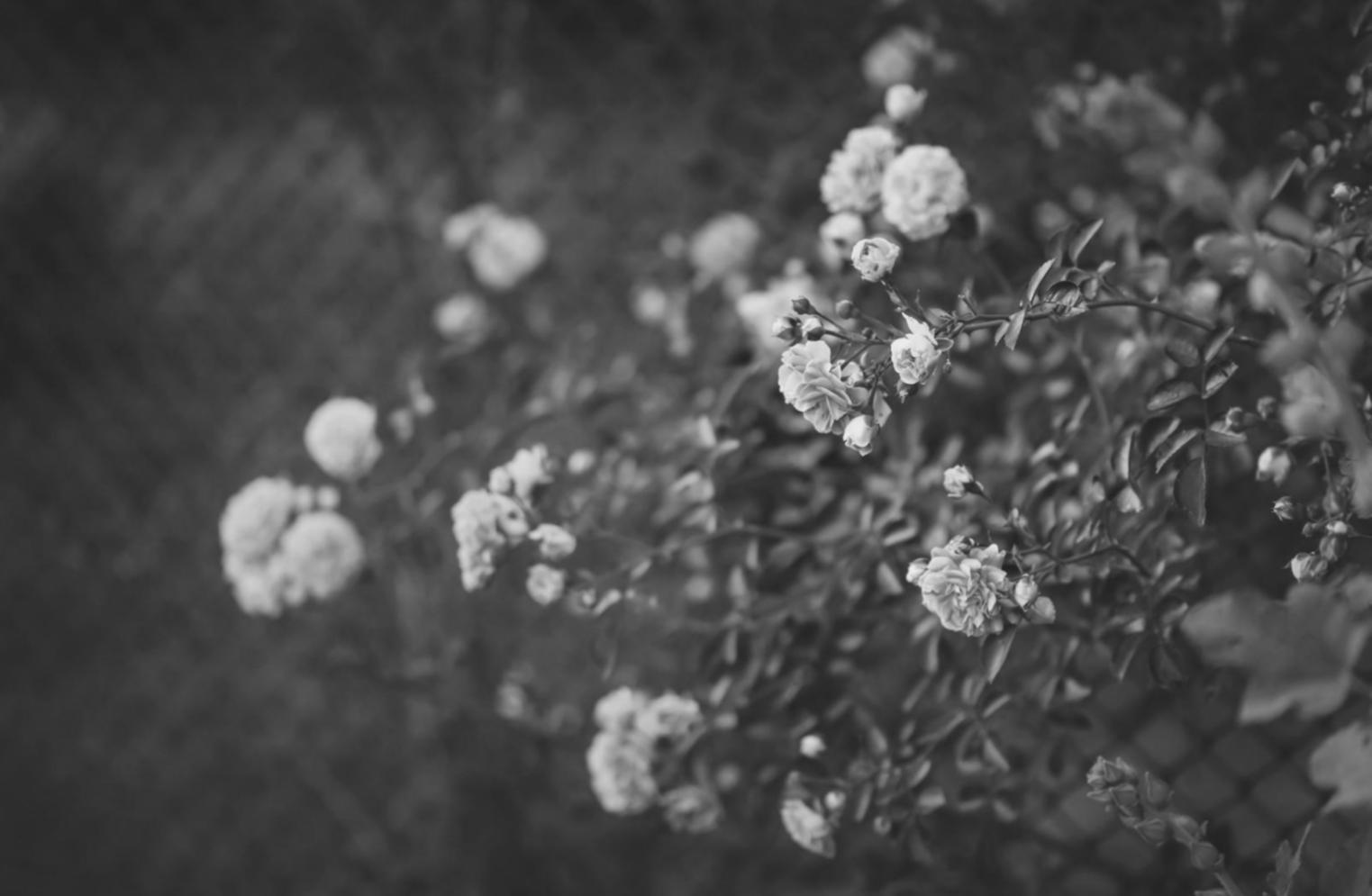 Икебана и японский подход к композиции