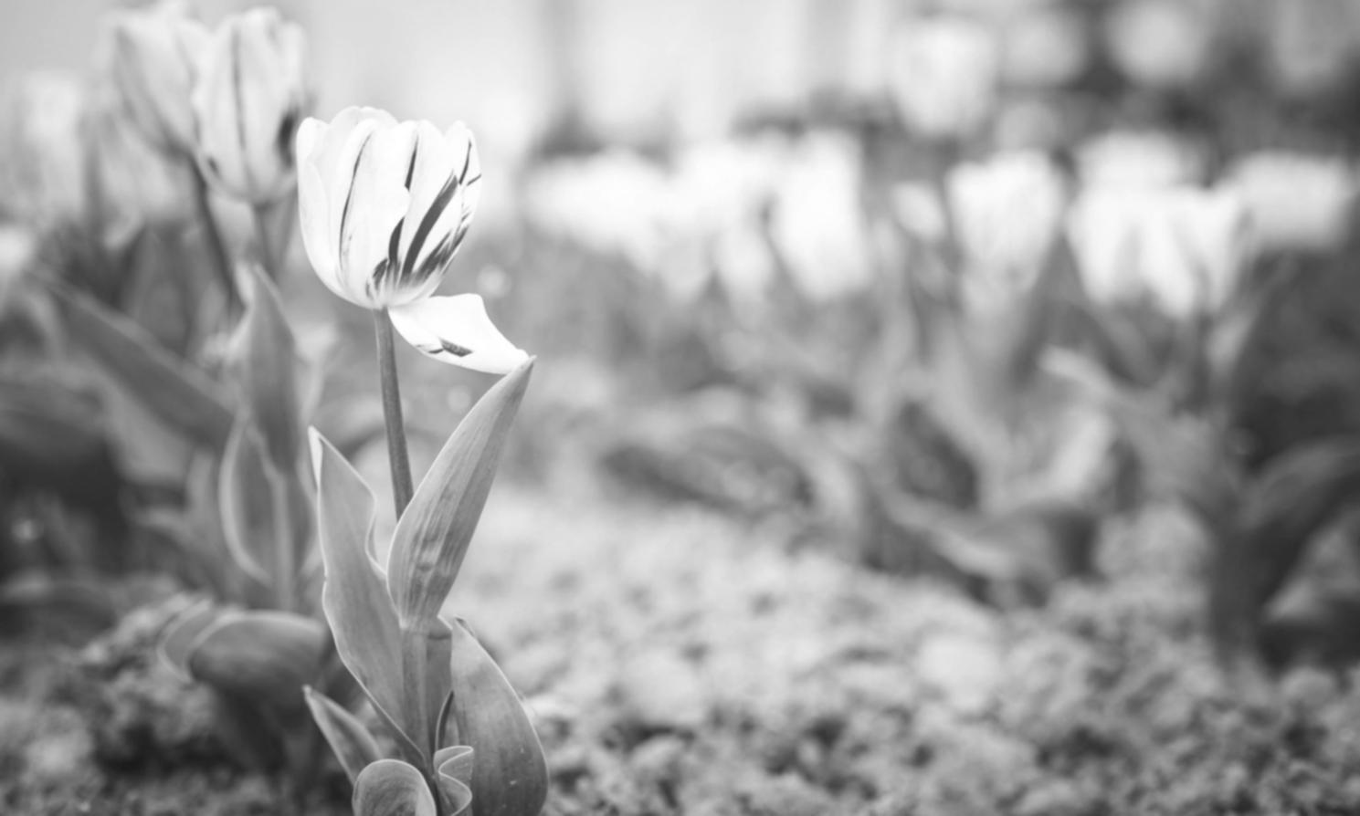 Цветочная композиция в работе