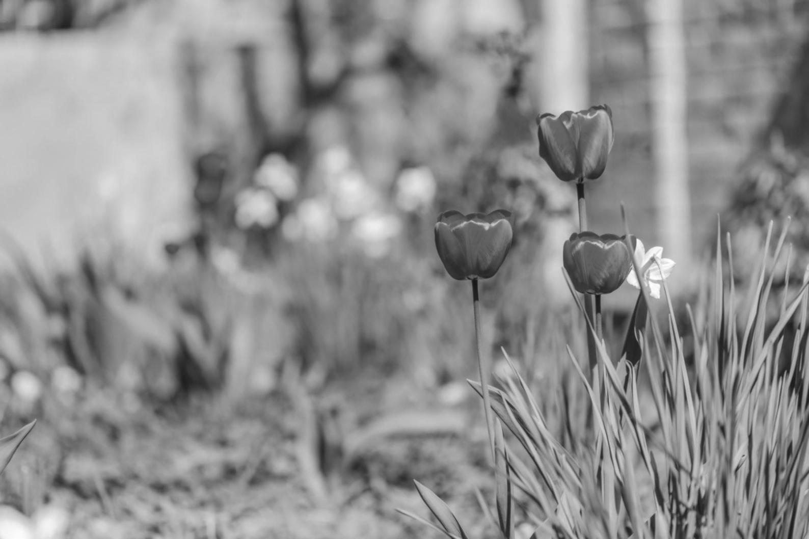 Флористический семинар Sord Peldu — рабочее пространство