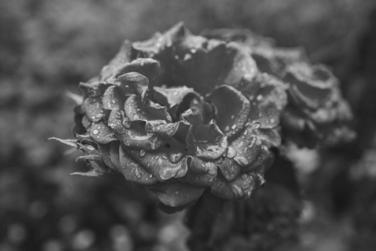 Готовая цветочная композиция